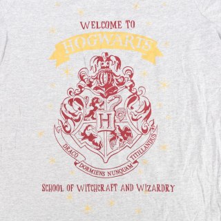 KOSZULKA DAMSKA HARRY POTTER SZARA T-SHIRT KRÓTKI RĘKAW PRINT XL