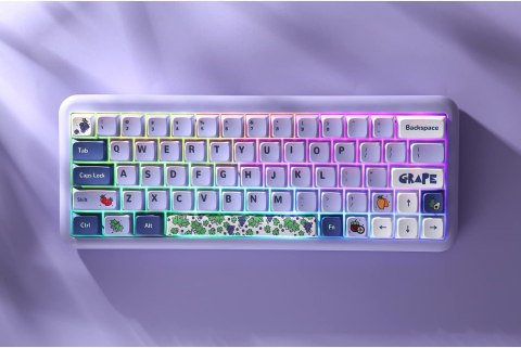 NAKŁADKI NA KLAWISZE KLAWIATURA MECHANICZNA KEYCAPS 104+24 FIOLETOWE OWOCE