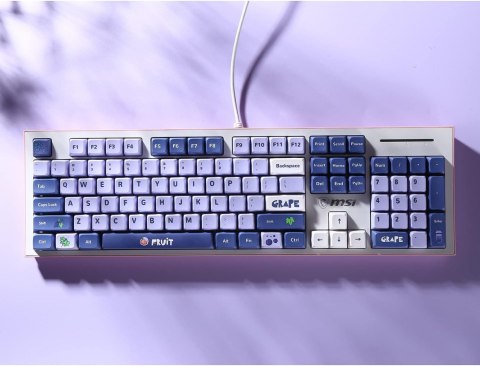 NAKŁADKI NA KLAWISZE KLAWIATURA MECHANICZNA KEYCAPS 104+24 FIOLETOWE OWOCE