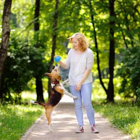 GRYZAK ZABAWKA DLA PSÓW NIEBIESKA SOWA TOOZEY